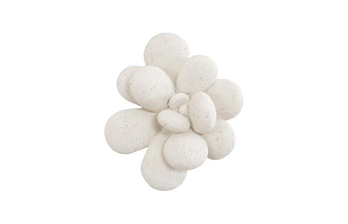 Oviferum Succulent Wall Art, White Stone