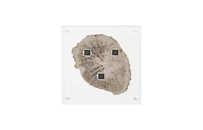 Floating Petrified Slice Wall Art, Assorted