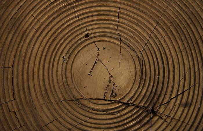 Lathe Side Table, Chamcha Wood