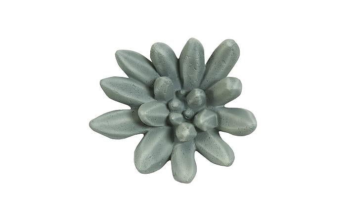 Compactum Succulent Wall Art, Forest