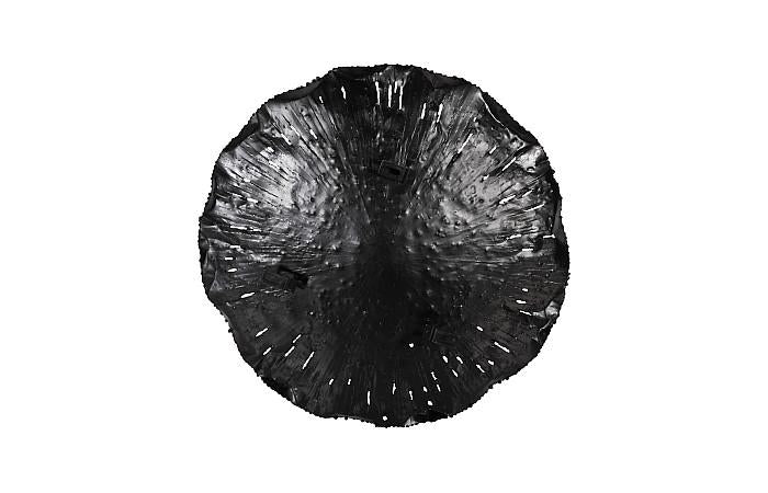 Lotus Wall Art, Silver/Black, MD