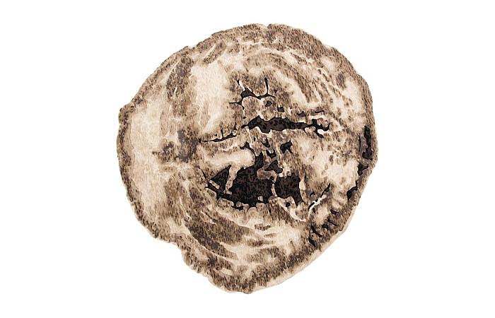 Slice Area Rug , 10x10, 120x120x1.5h"