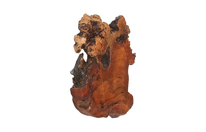 Pradoo Burled Wood Wall Decor