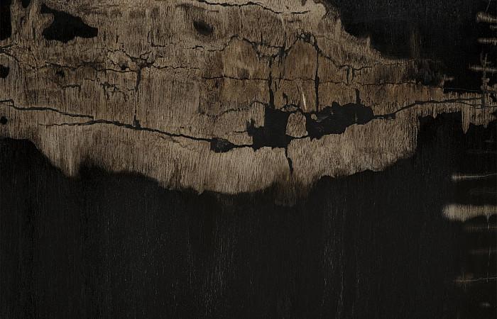 Petrified Stool , Mixed, Assorted, Square