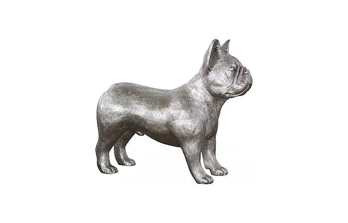 French Bulldog, Silver