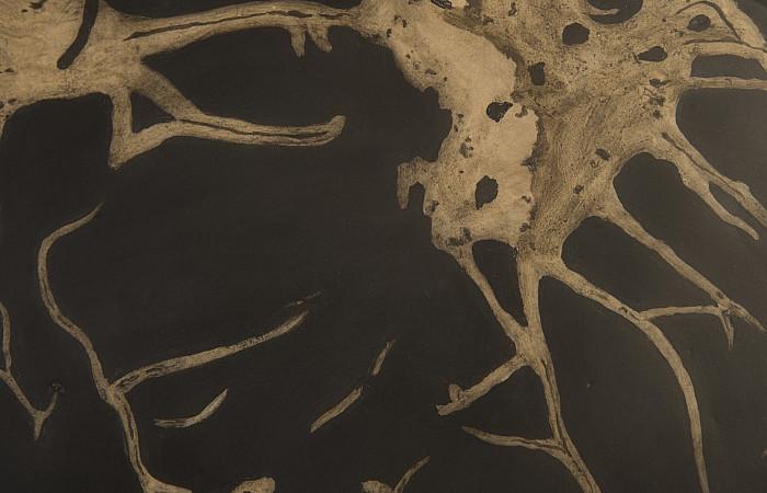 Cast Petrified Wood Wall Tile, Resin