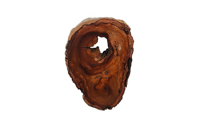 Pradoo Burled Wood Wall Decor