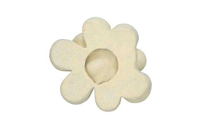 Oviferum Succulent Wall Art, Chartreuse