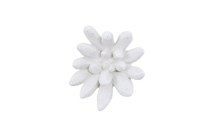 Compactum Succulent Wall Art, White Stone
