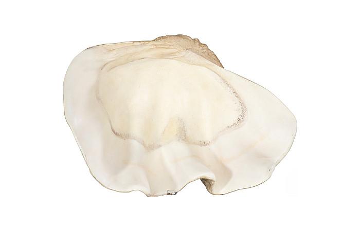 Cast Clam Shell Bowl, Faux Finish, LG