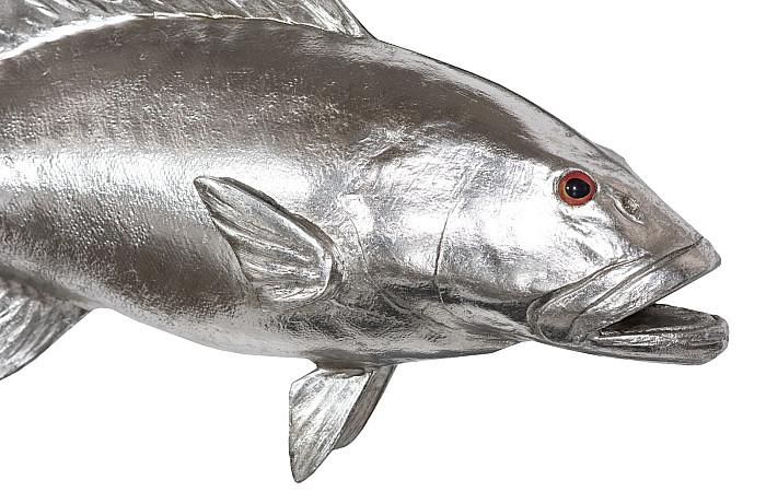 Coral Trout Fish Wall Sculpture, Resin, Silver Leaf