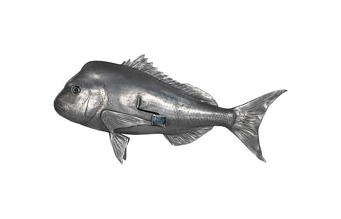 Australian Snapper Fish Wall Sculpture, Resin, Polished Aluminum Finish