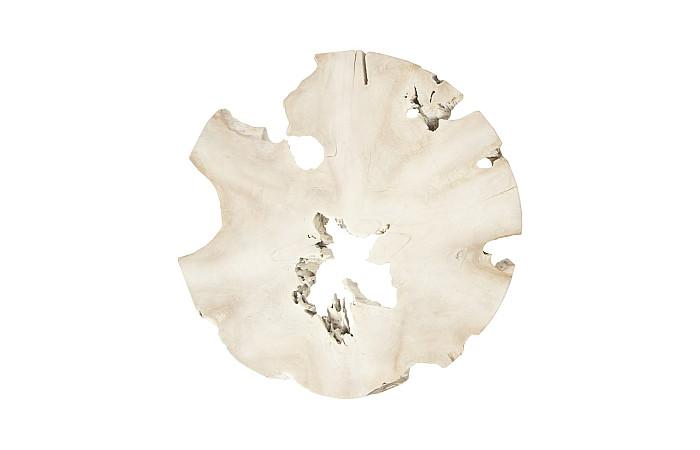 Bleached Slice Coffee Table, Iron Legs