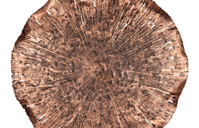 Lotus Wall Art, Copper/Black, MD