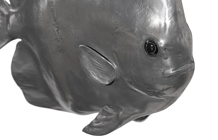 Australian Bat Fish Wall Sculpture, Resin, Polished Aluminum Finish