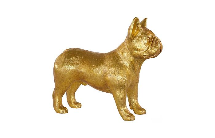 French Bulldog, Gold Leaf