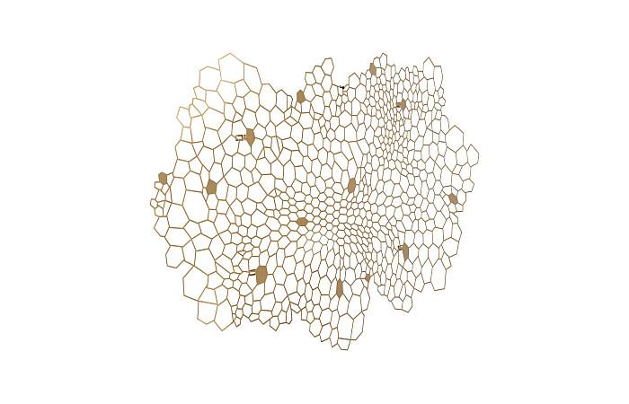 Honeycomb Wall Art, LG