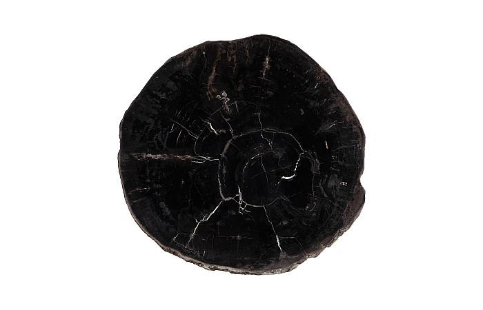 Petrified Coffee Table, Round, Metal Black Base