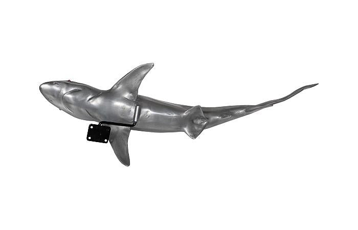 Whaler Shark Fish Wall Sculpture, Resin, Polished Aluminum Finish