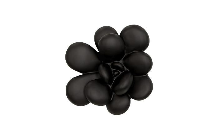 Oviferum Succulent Wall Art, Smooth Matte Black
