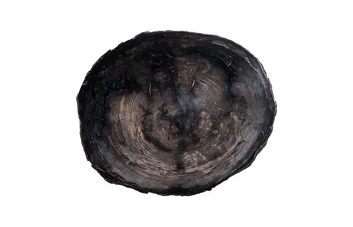 Petrified Coffee Table, Round, Metal Black Base
