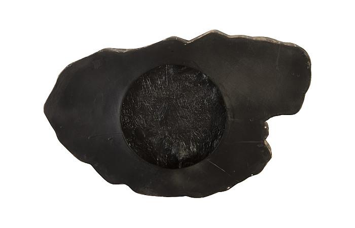 Cast Petrified Wood Wall Tile, Resin