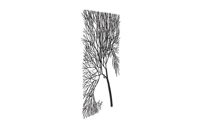 Wire Tree Wall Art, Rectangular, Metal, Black