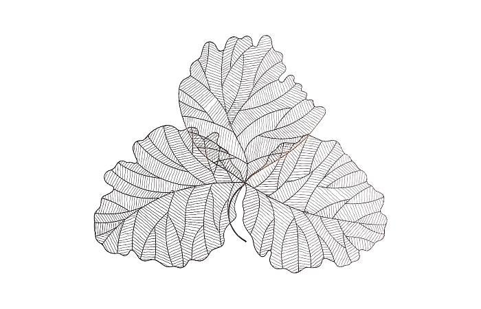 Tri Leaf Wall Art, Large, Metal, Copper/Black