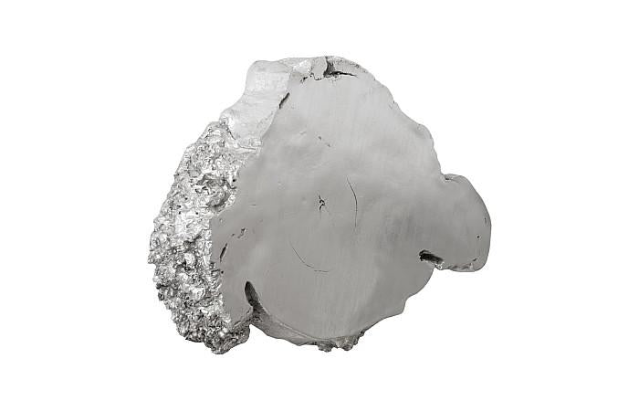 Burled Root Wall Art, Small, Silver Leaf