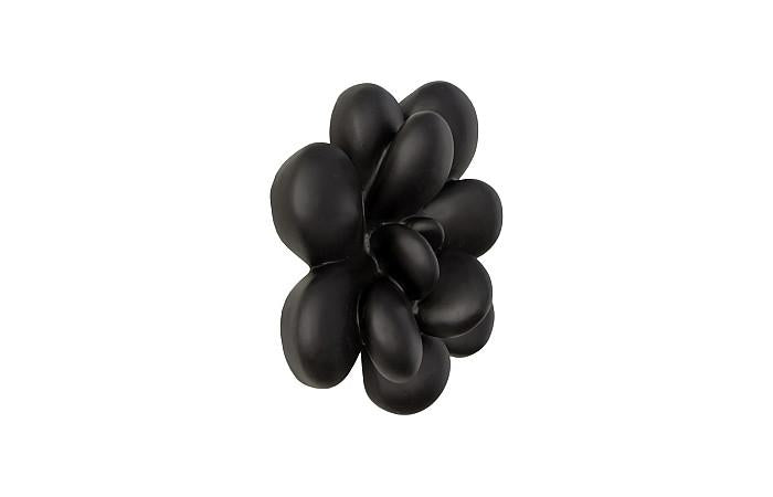 Oviferum Succulent Wall Art, Smooth Matte Black