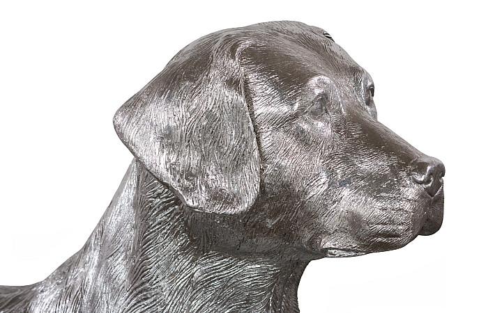 Labrador, Laying, Silver Leaf