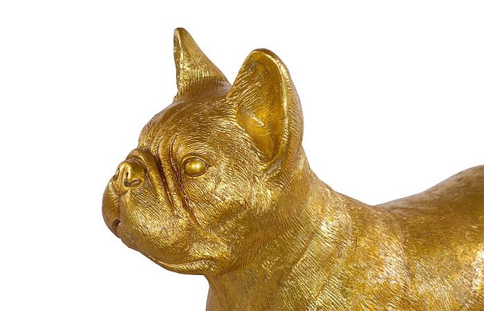 French Bulldog, Gold Leaf
