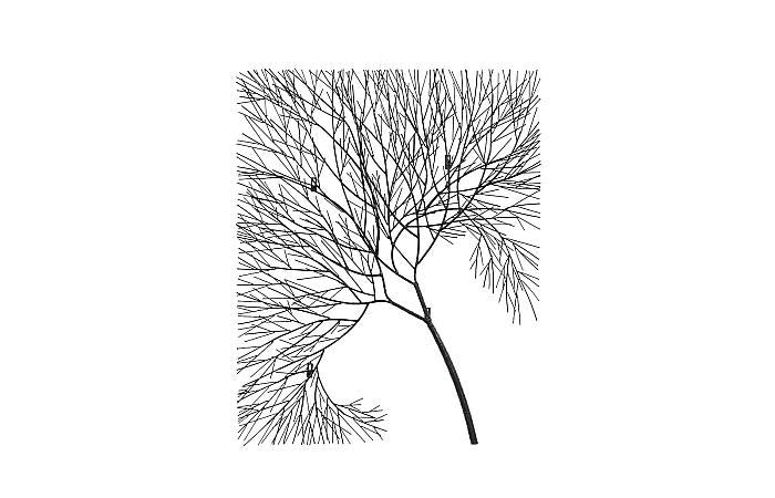 Wire Tree Wall Art, Rectangular, Metal, Black