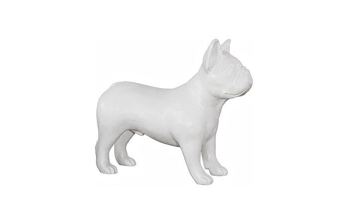French Bulldog, Gel Coat White