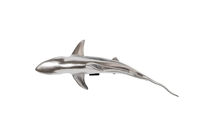 Whaler Shark, Silver Leaf