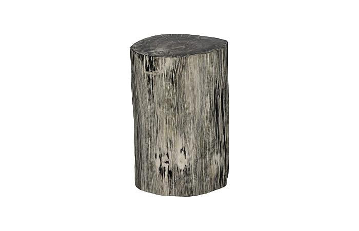 Petrified Wood Stool, Polished