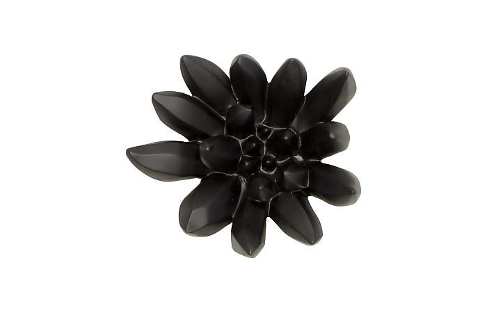 Compactum Succulent Wall Art , Smooth Matte Black