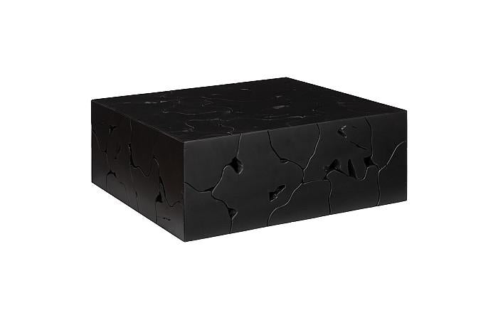 Teak Slice Coffee Table, Square, Black