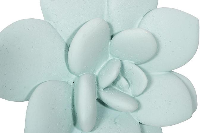 Laui Succulent Wall Art, Sage