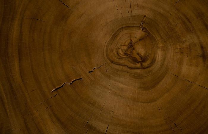 Chuleta Bar Table on Black Metal Base, Chamcha Wood, Natural